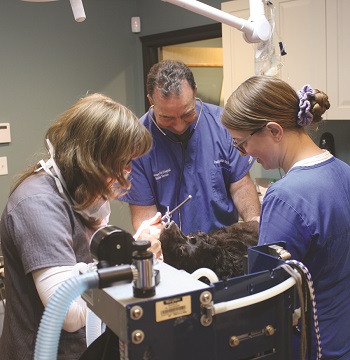 Dr. Garofolo completing a dental procedure